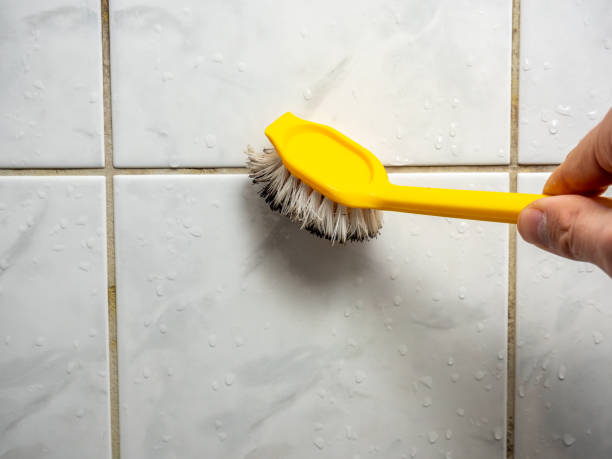 Best Same-Day Mold Removal  in Middletown, KY